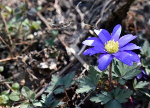Energie tanken in der Natur