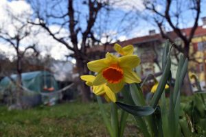 Energie tanken in der Natur