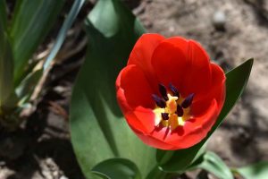 Energie tanken in der Natur