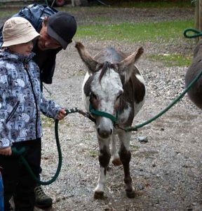 Kindergeburtstag Kamel reiten in Bayern