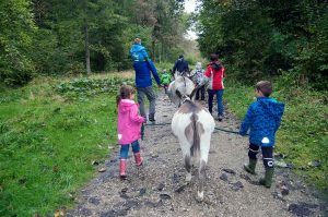 Kindergeburtstag Kamel reiten in Bayern