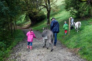 Kindergeburtstag Kamel reiten in Bayern
