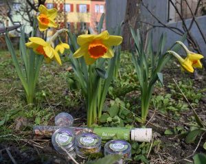 Räuchern im Jahreskreis