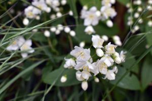 gemeinsame zeit als geschenk
