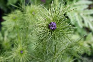 gemeinsame zeit als geschenk