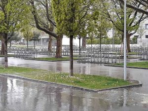 Beltane der keltische Sommerbeginn, Mairegen