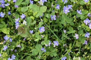 gemeinsame zeit als geschenk