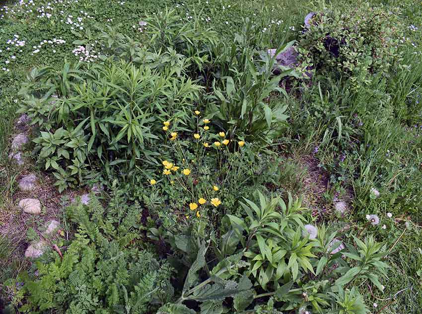 gartenarbeit und gemeinsame zeit als geschenk gegen mentalload