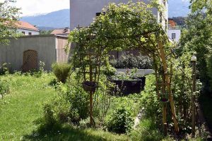 Gartenarbeit im Mai