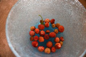 Walderdbeeren ohne Zucker