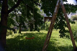 Obsternte im Juni im Garten