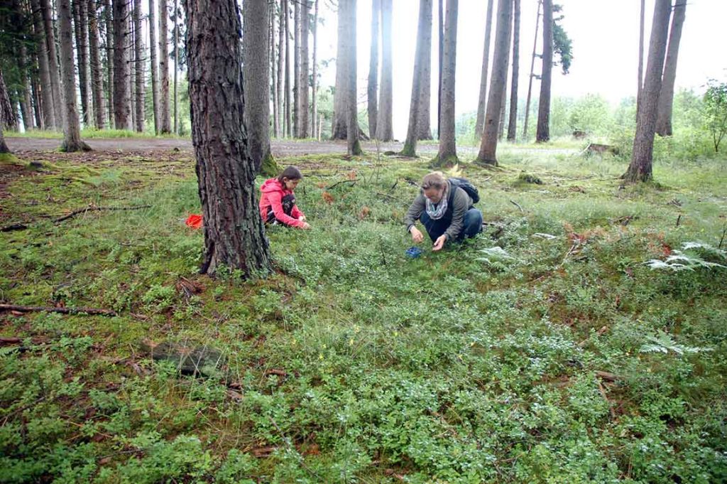 gärtnern mit Kindern,
