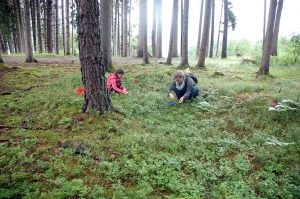 gärtnern mit Kindern,