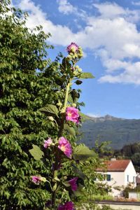 Beispiele für gutes Karma