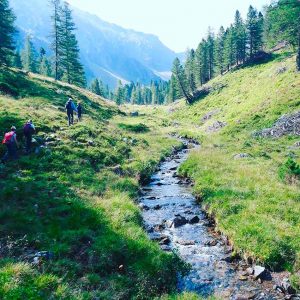 Bergwaldprojekt Sölktäler