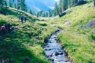 Bergwaldprojekt Sölktäler