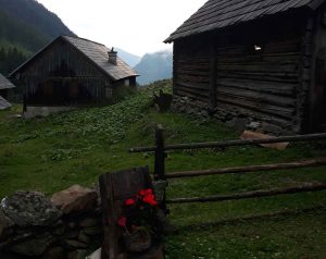 Bergwaldprojekt Sölktäler