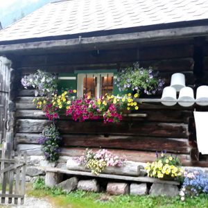 Bergwaldprojekt Sölktäler