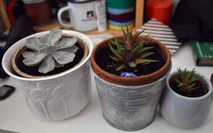 upcycling