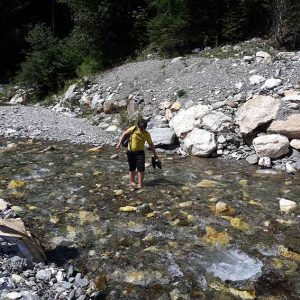 Bergwaldprojekt Sölktäler