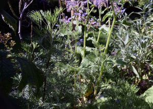 Energie tanken im September