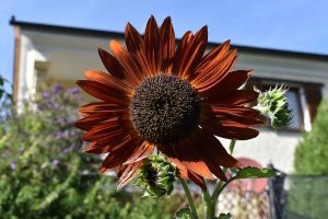 Energie tanken im September