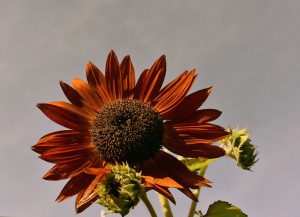 Energie tanken im September