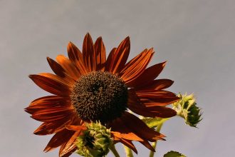 Energie tanken im September