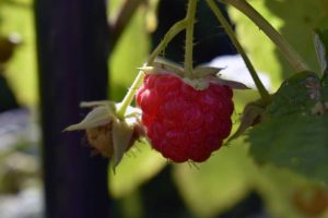 Energie tanken im September
