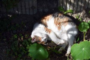 Energie tanken im September