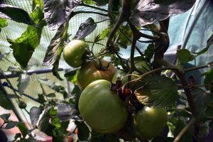 Energie tanken im September