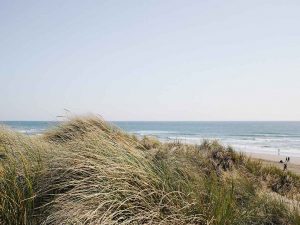 ferien an der nordsee