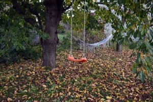Herbst & Garten mit Kinderaugen