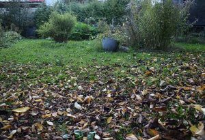 Bücher über nachhaltiges Leben - Herbst & Garten mit Kinderaugen