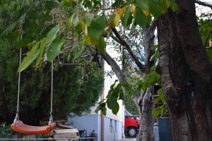 Herbst & Garten mit Kinderaugen