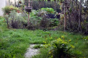 Herbst & Garten mit Kinderaugen