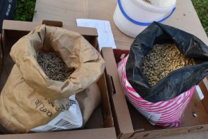 Nachhaltig im Alltag: Reparieren, einkaufen & kochen