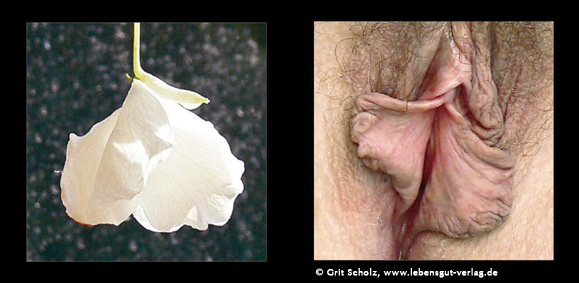 Lust und Vielfalt der Vulva: Das Tor ins Leben