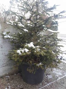 Konzentration auf das Wesentliche