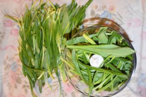 Frühling ins Haus holen mit Bärlauch-Pesto