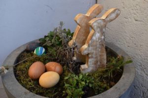 Frühling ins Haus holen mit Gartenpflanzen und Moosnestern
