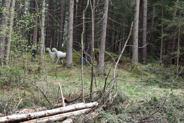 Wanderung zum Lanser Moor