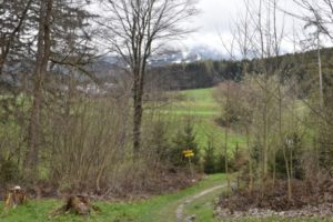 Wanderung zum Lanser Moor