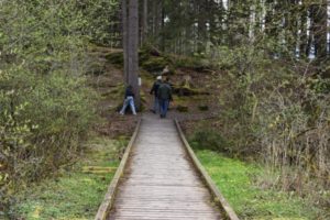 Wanderung zum Lanser Moor