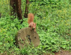 Walpurgis und Beltane feiern als Familie