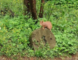 Walpurgis und Beltane feiern als Familie