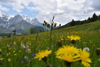 Familienausflug zum Pillersee