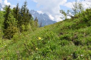 Wanderung zum Jakobskreuz