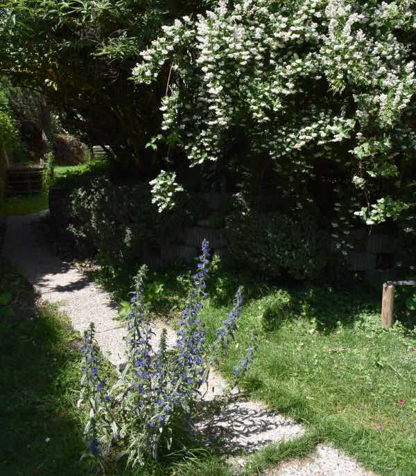 Bienengarten - wilder Garten