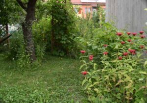 Ideen zur Gartengestaltung